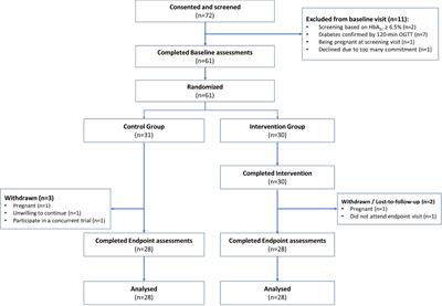 A holistic approach to preventing type 2 diabetes in Asian women with a history of gestational diabetes mellitus: a feasibility study and pilot randomized controlled trial